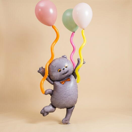 Набор воздушных шаров на день рождения девочке, девушке с серым котиком и шарами в потолок
