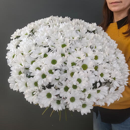 Букет из 25 хризантем