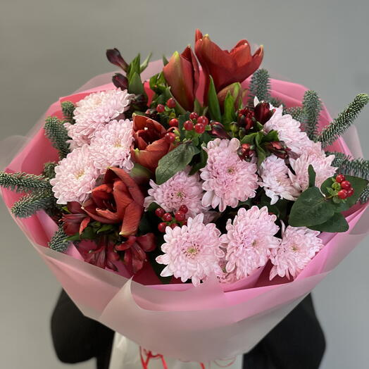 Рождественское настроение. Амариллис, нобилис