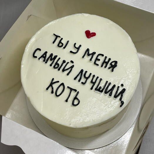 800г Бенто-торт для котика