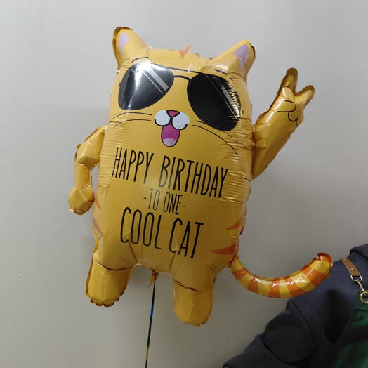 Шар Рыжий кот в очках - С днем рождения