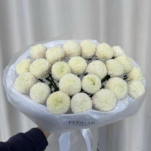 Хризантемы Момоко