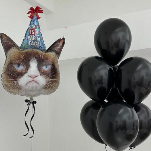Воздушные шарики с котом