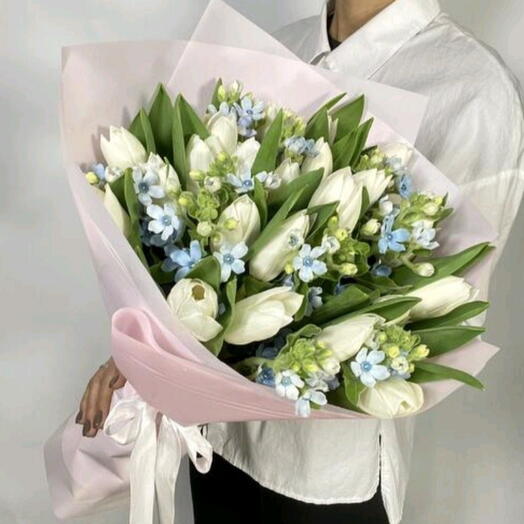 Букет "Весенняя свежесть" Белые тюльпаны и голубой оксипеталум