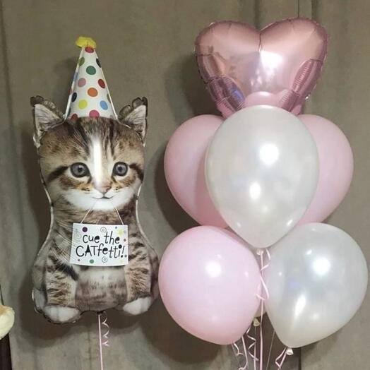 Воздушные шары с милым котиком