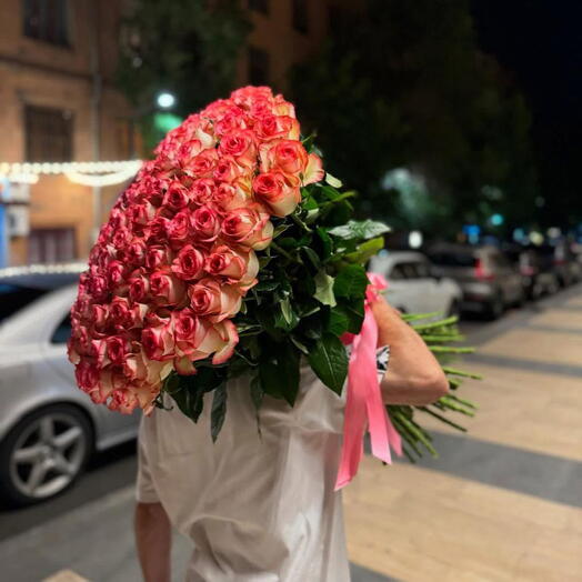 101 Jumilia