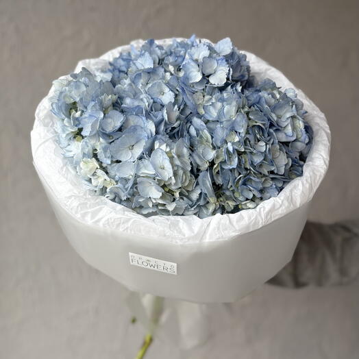Monobucket of blue hydrangeas