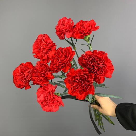 10 красных гвоздик