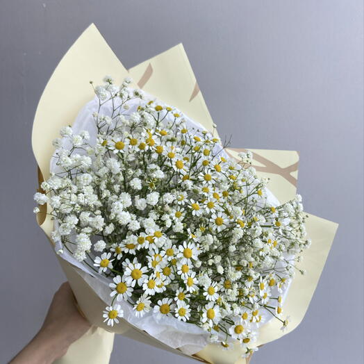 Ромашки с гипсофилой 🌼
