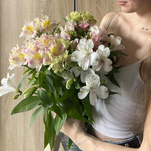 Альстромерия микс 9 шт