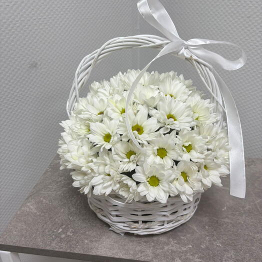 Козина ромашка чик