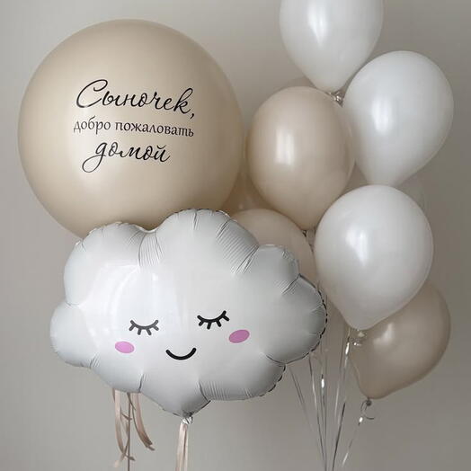 Сет"Малыш" На выписку