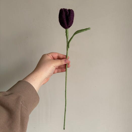 Фиолетовый французский тюльпан💜