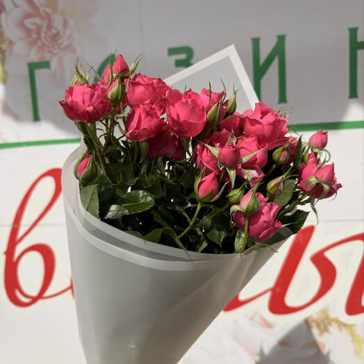 Нежность в одном взгляде