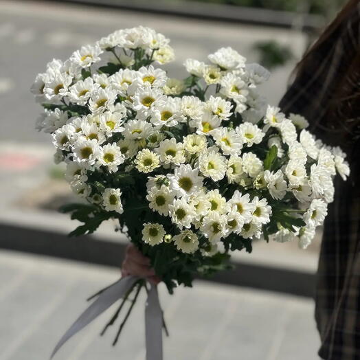 Полевой букет ромашек 🌼 Букет белых ромашек  Ромашки Ромашка Хризантемы