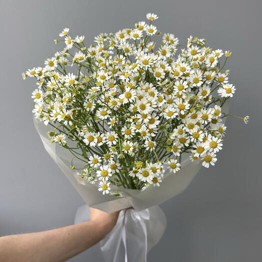 Монобукет из 7 веток ромашек в упаковке 🌼