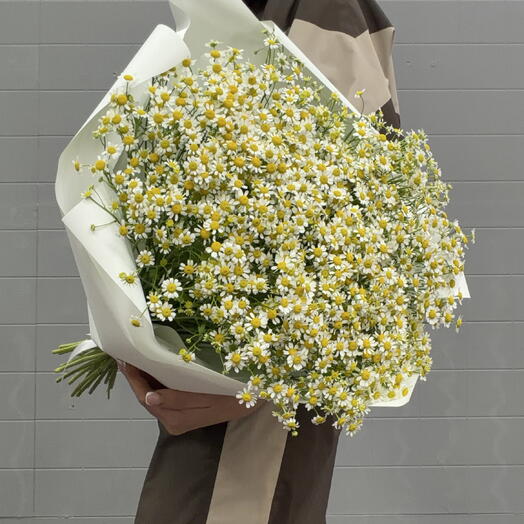 Ромашки букет 💐