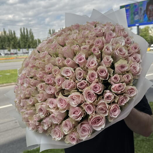 Розовая Роза 151