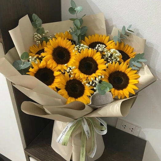 🌻 Maison Soleil