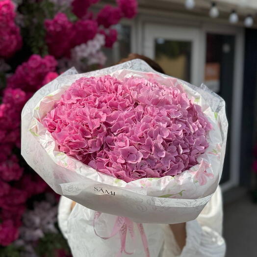 Royal hydrangea