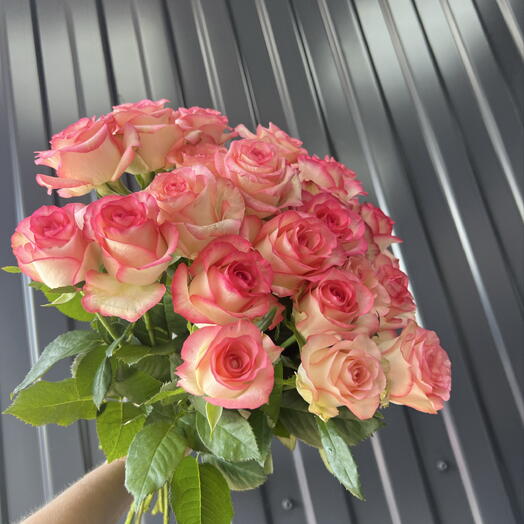 Джумилия 🌹