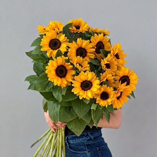 Солнечный блик 🌻