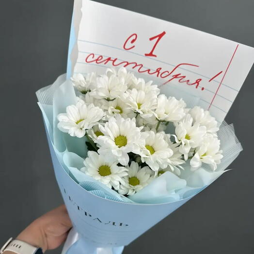 Букет белые хризантемы в стильной упаковке "1 Сентября"