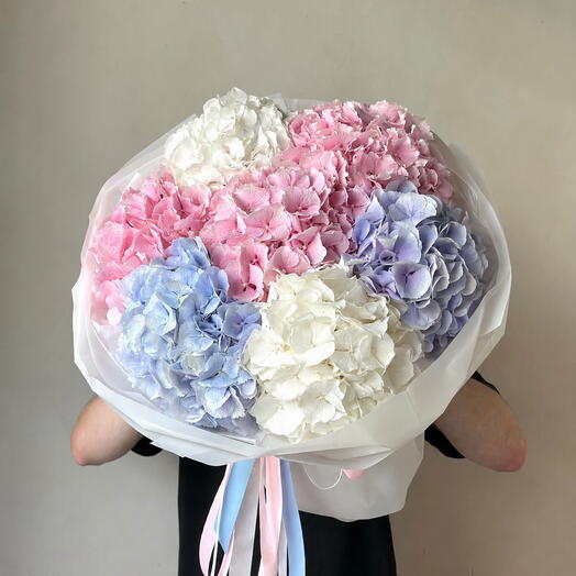 Pastel Dream