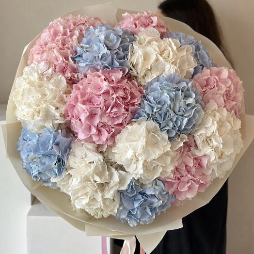 Pastel Dream L