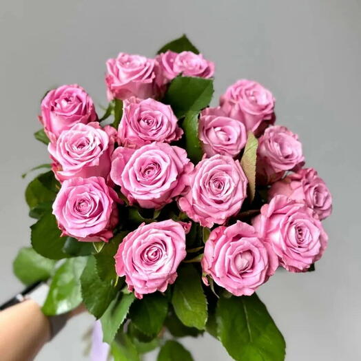Роза маритим 15 шт