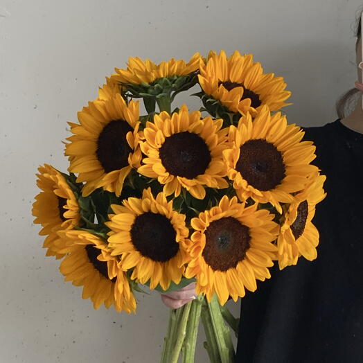 Подсолнухи большие 🌻 11
