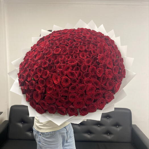 Красные розы 201шт🌹🌹🌹