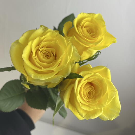 Розы жёлтые 💛 3
