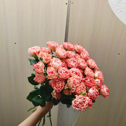11 кустовых роз
