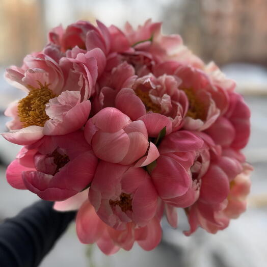 Пионы Coral Charm — роскошный букет коралловых пионов