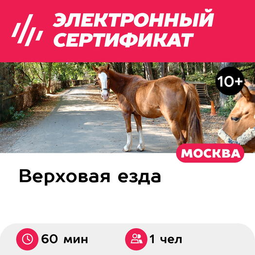 Подарочный сертификат Путь всадника: от первого шага до уверенной езды, для 1 чел. (60 мин.)