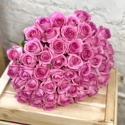 51 rosa rosa Revival