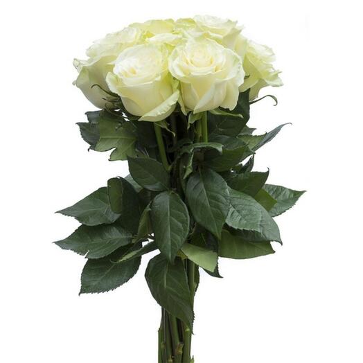 Букет из 9 белых роз