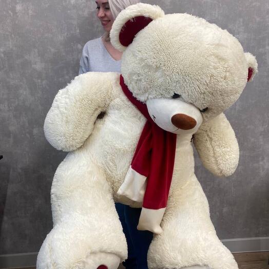 Oso enorme 150cm
