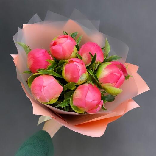 7 coral peonies
