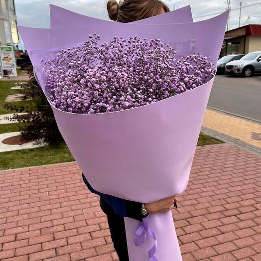 Букет Фиолетовой Гипсофилы