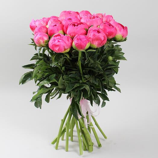 Букет 19 коралловых пионов
