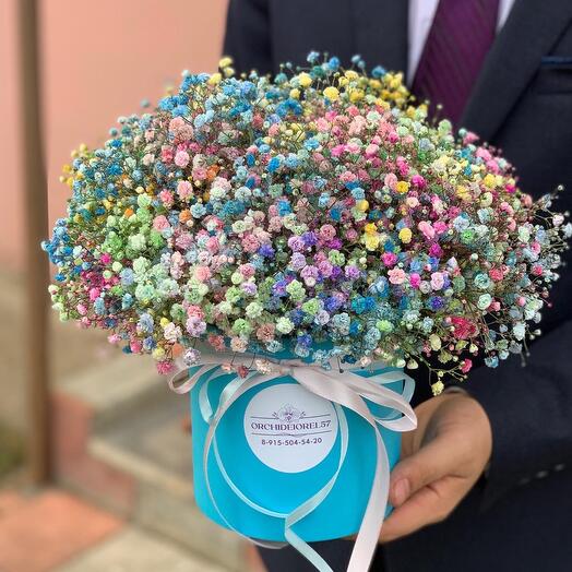 Гіпсофіла райдужна в коробці