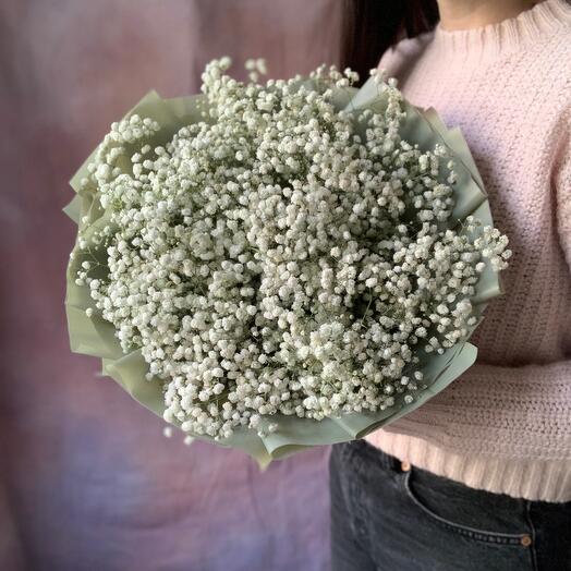 Ramo de gypsophila