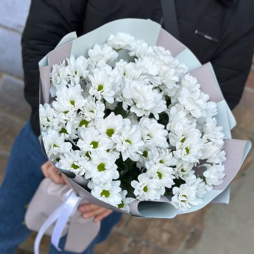 Crisantemo de arbusto blanco