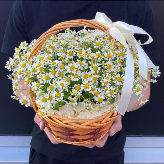 Flowers Basket Of Tanacetum