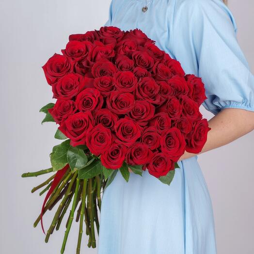 51 red roses 50 cm high (Ecuador)