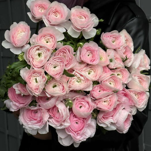 Ranunkulus Hanoi by pieces