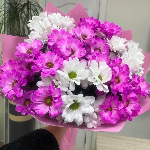 Monobucket of dyed and white chrysanthemums and daisies