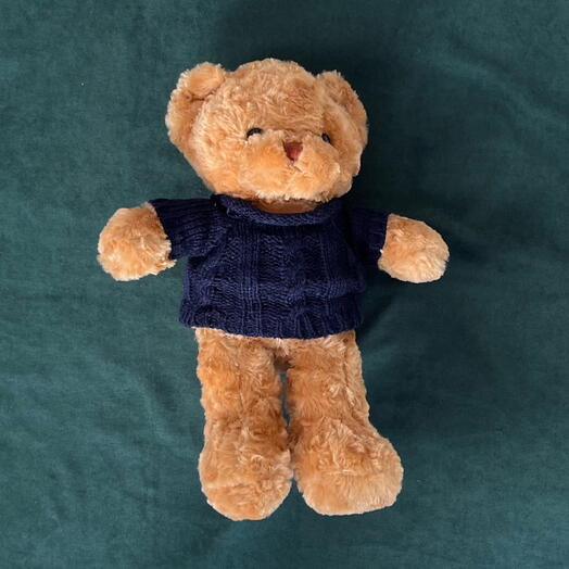 Teddy 25 Sm